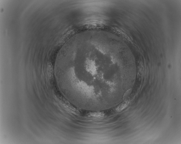 X0000069830659200605221208