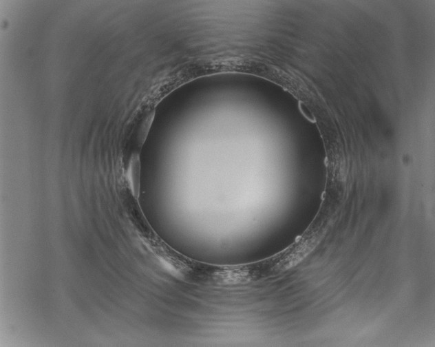 X0000069830660200605221208