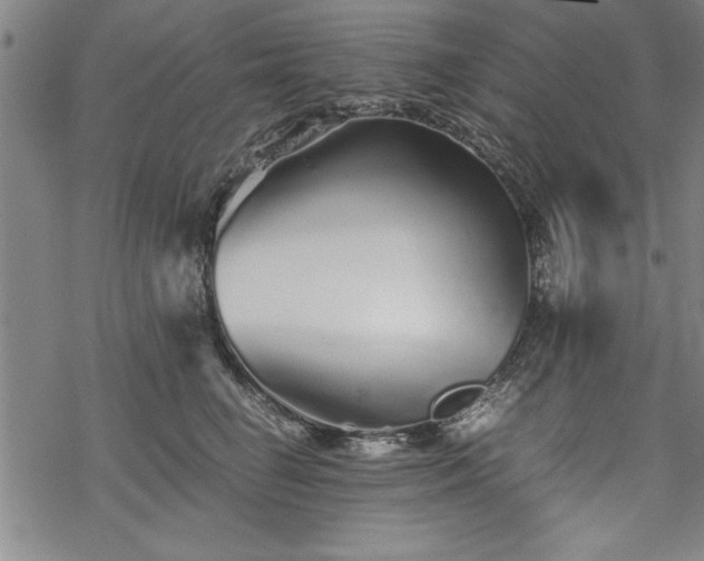 X0000069830662200605221208