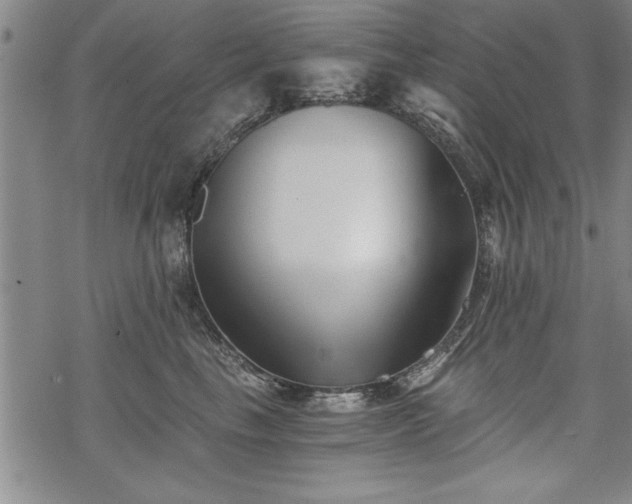 X0000069830665200605221208