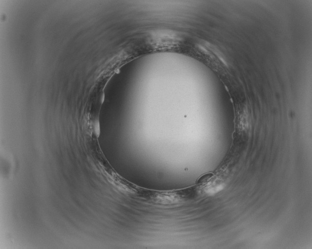 X0000069830666200605221208