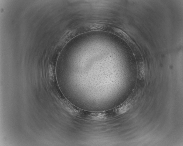 X0000069830667200605221208