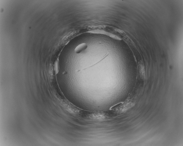 X0000069830668200605221208