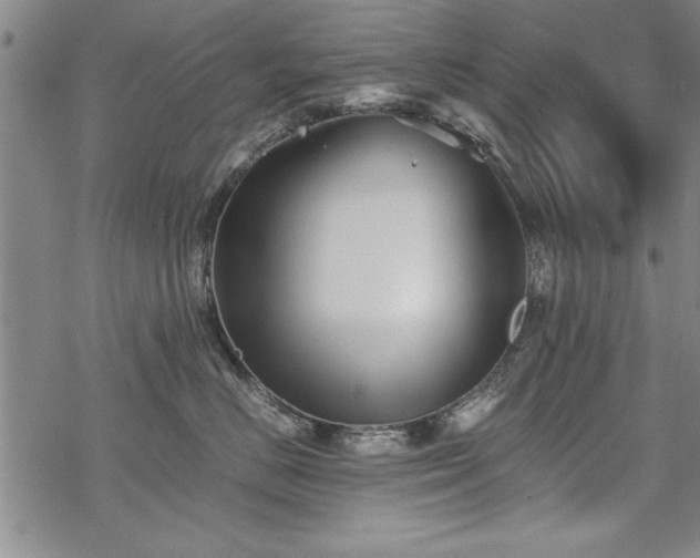 X0000069830670200605221208