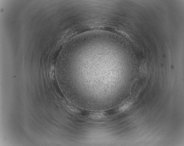 X0000069830671200605221208