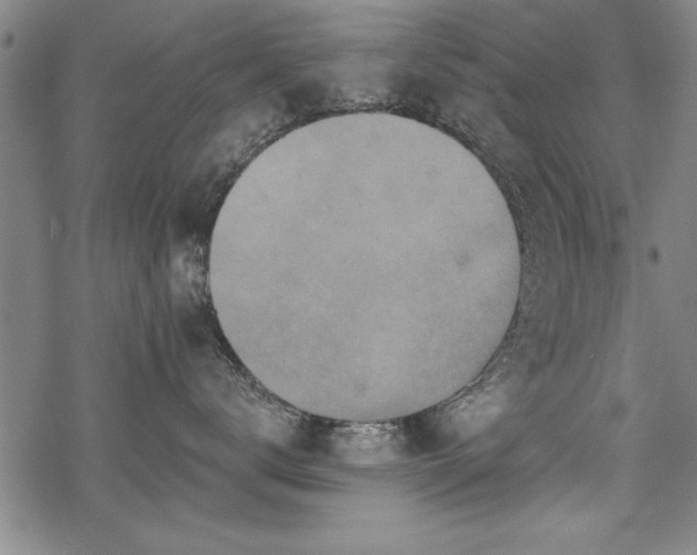 X0000069830672200605221208