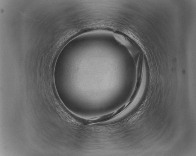 X0000069830673200605221207