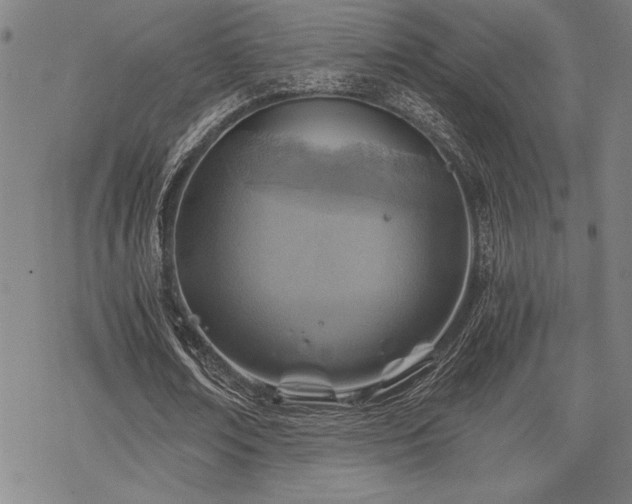 X0000069830674200605221207