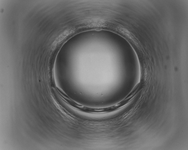 X0000069830677200605221207