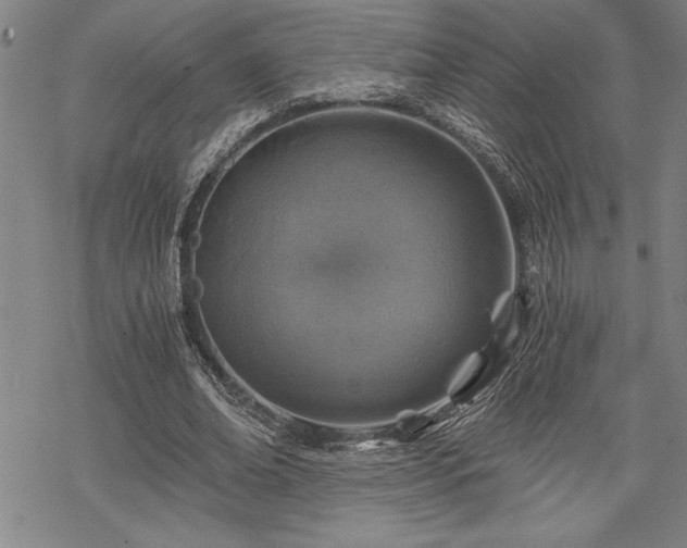 X0000069830678200605221207