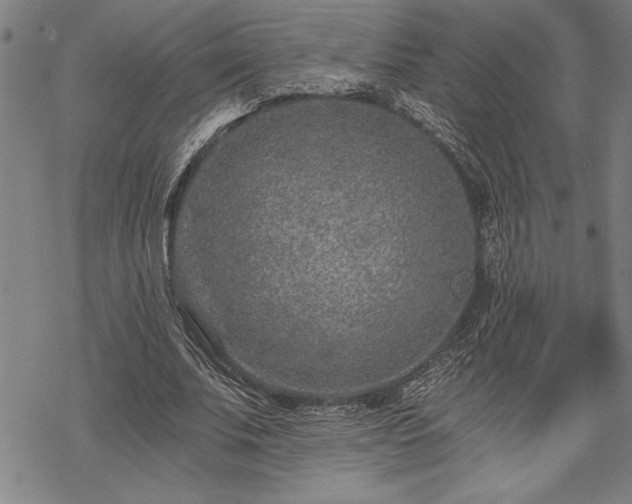 X0000069830679200605221207