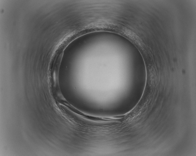 X0000069830680200605221207