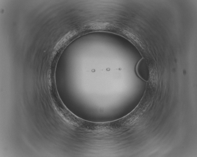 X0000069830682200605221207