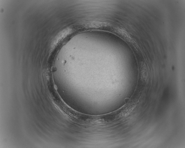 X0000069830683200605221207