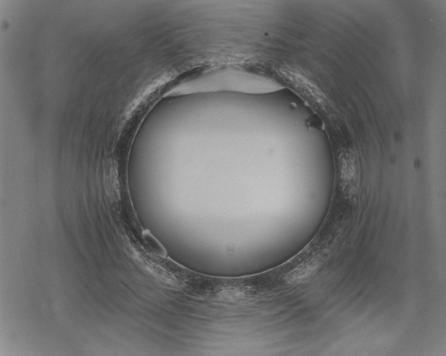 X0000069830684200605221207