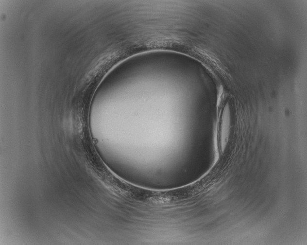 X0000069830687200605221207