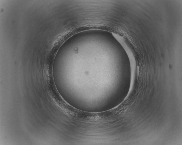 X0000069830688200605221207