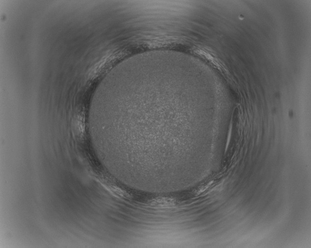 X0000069830691200605221207