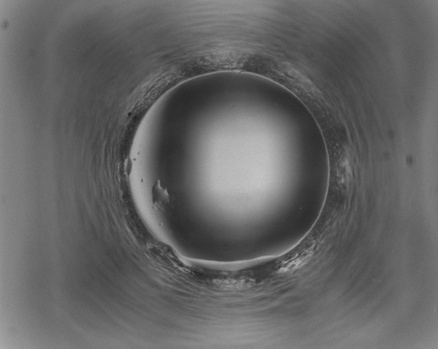 X0000069830693200605221207