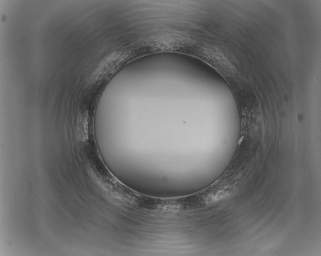 X0000069830694200605221207