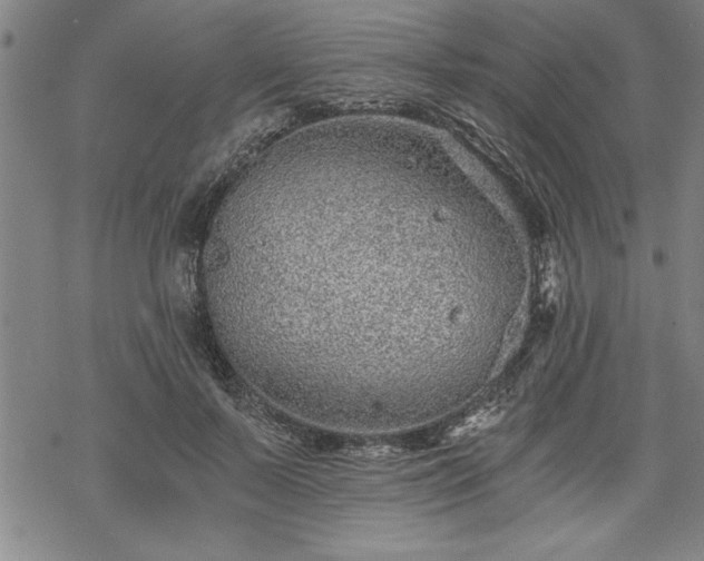 X0000069830695200605221207