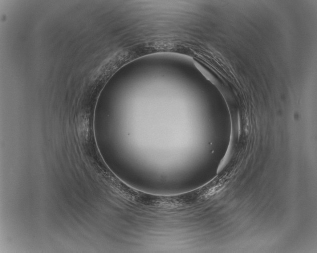 X0000069830697200605221207