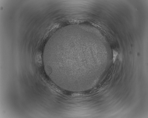 X0000069830699200605221207