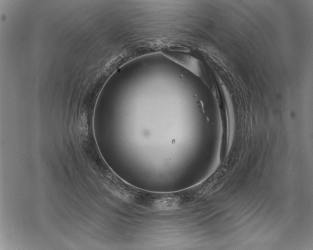 X0000069830700200605221207