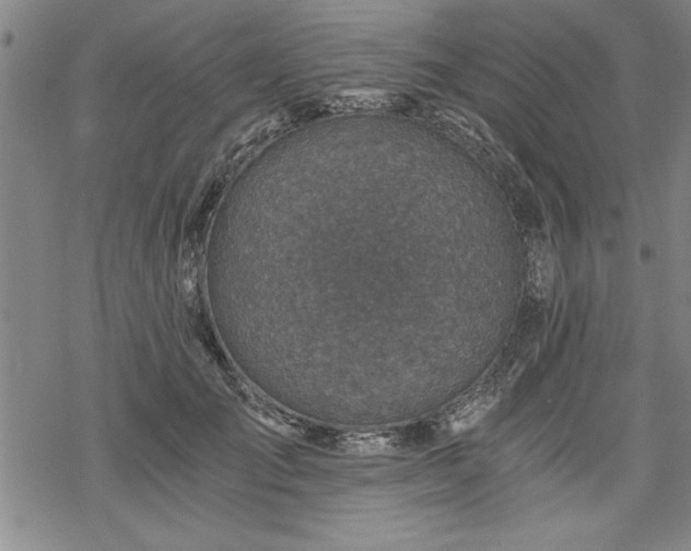 X0000069830701200605221207