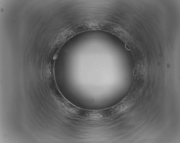 X0000069830702200605221207