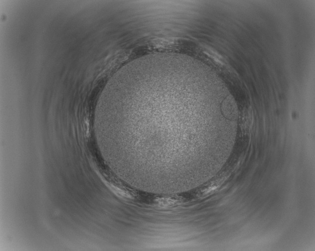 X0000069830703200605221207