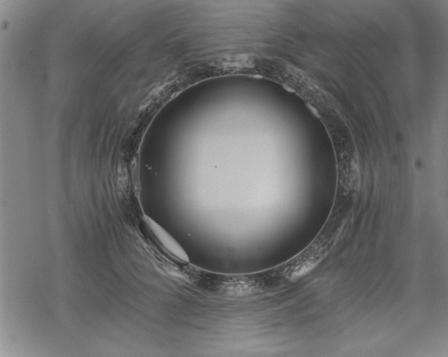 X0000069830704200605221207