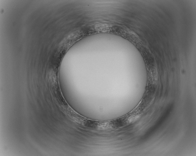 X0000069830705200605221207