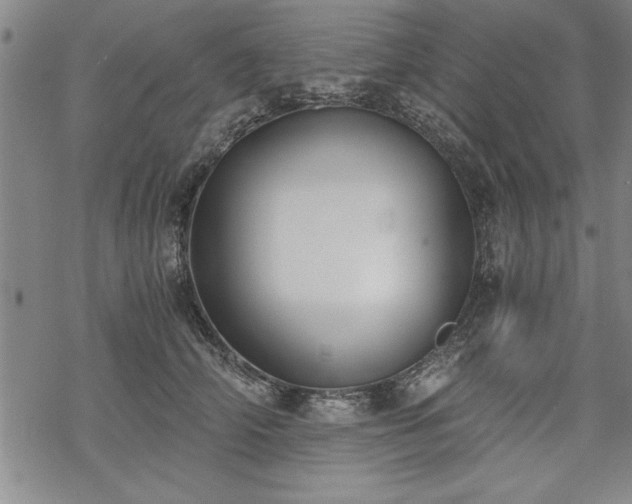 X0000069830706200605221207