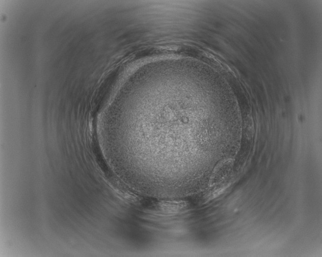 X0000069830707200605221207