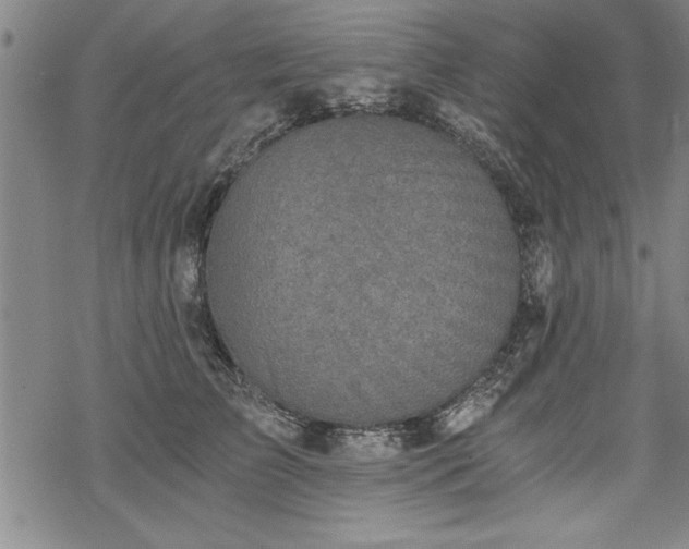 X0000069830709200605221207