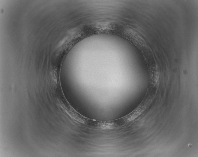 X0000069830710200605221207