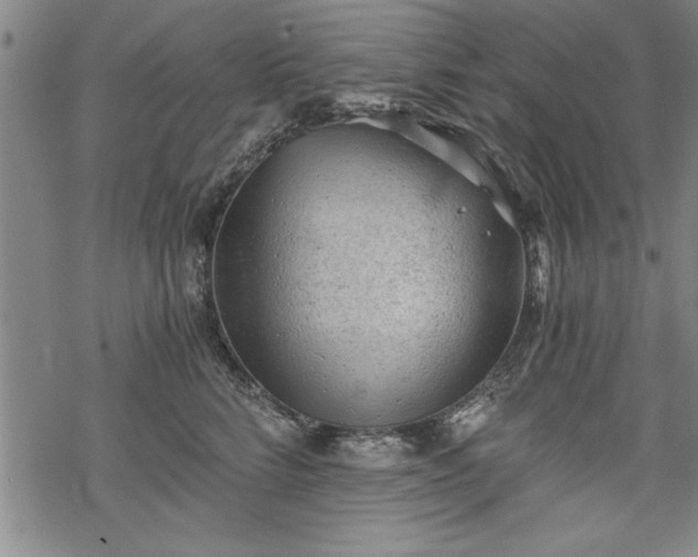 X0000069830712200605221207