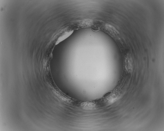 X0000069830714200605221207