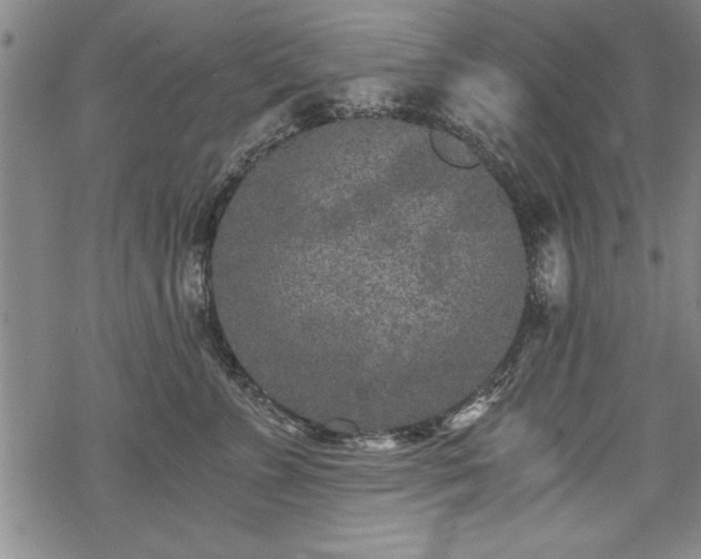 X0000069830715200605221207