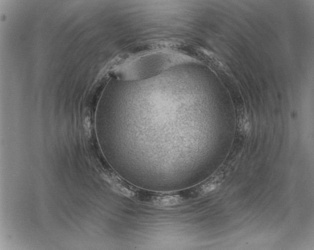 X0000069830716200605221207