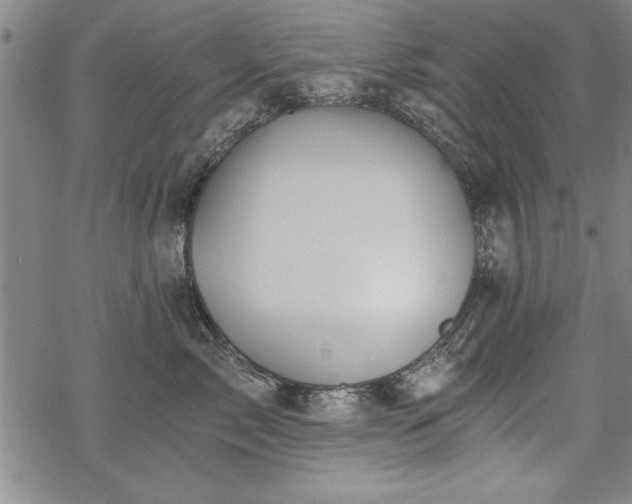 X0000069830717200605221207