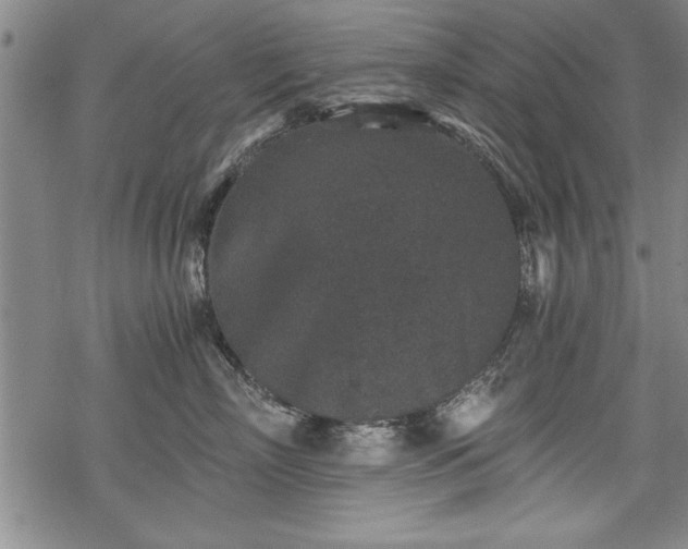 X0000069830718200605221207