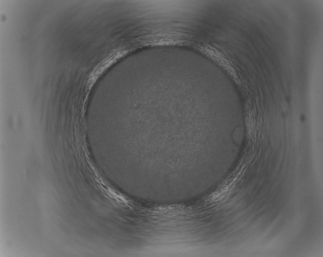 X0000069830721200605221206