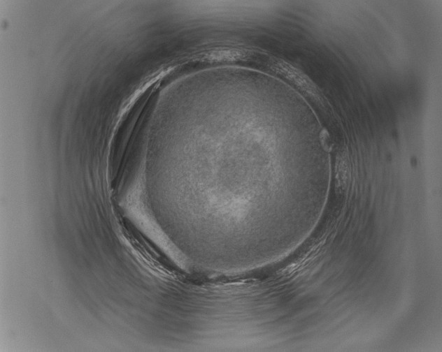 X0000069830722200605221206