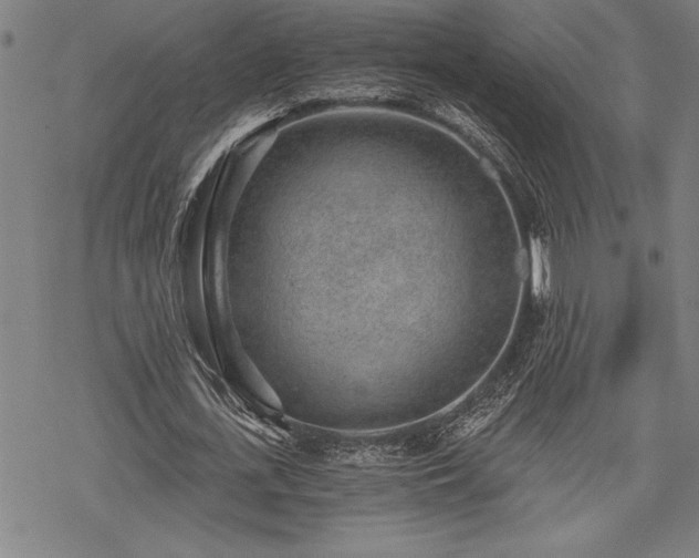 X0000069830723200605221206