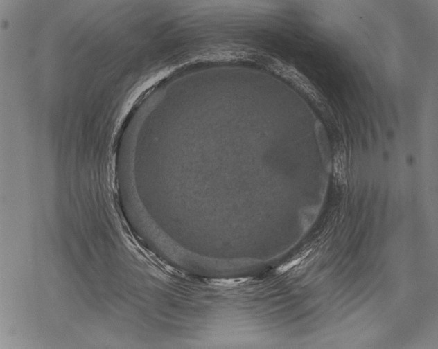 X0000069830724200605221206