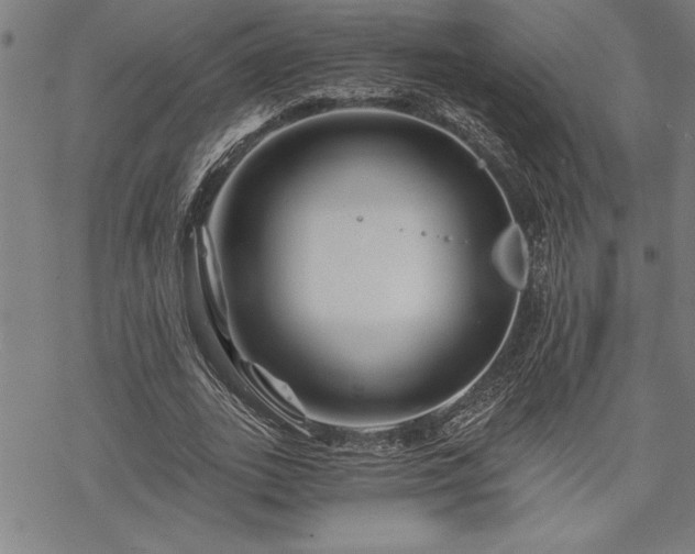 X0000069830727200605221206