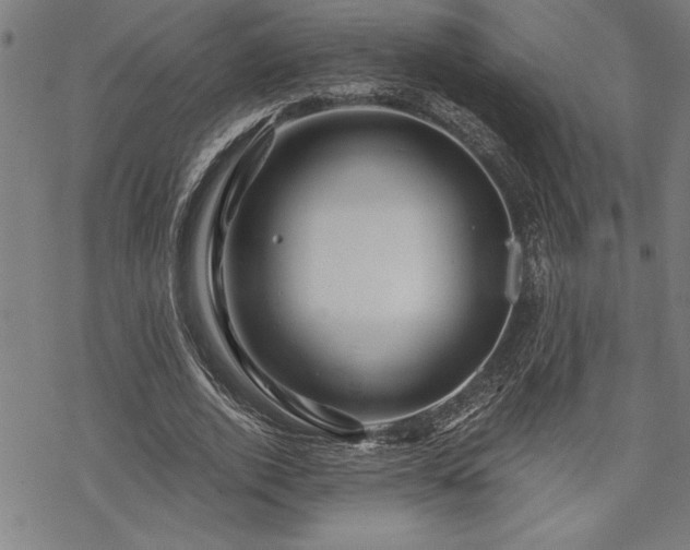 X0000069830728200605221206