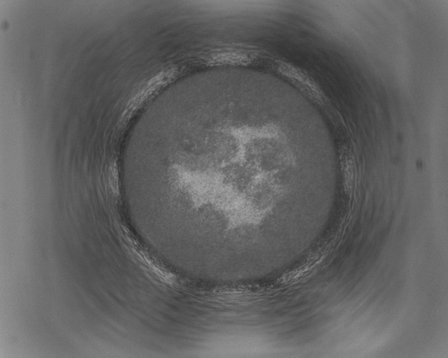 X0000069830729200605221206